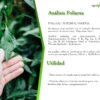Servicio de análisis foliar