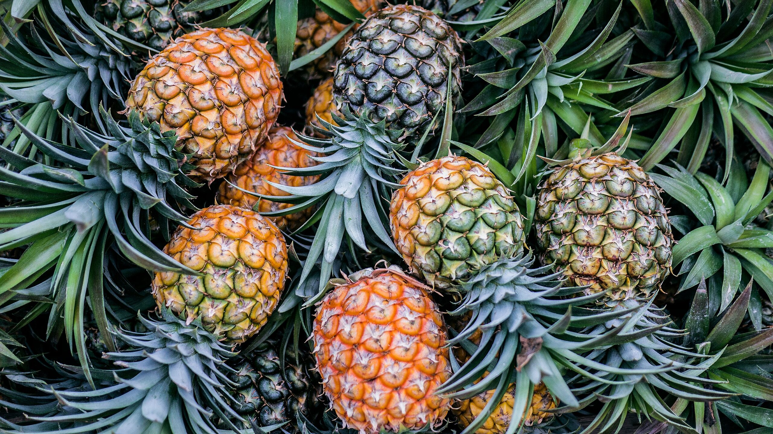 Piña