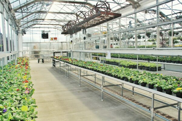 Greenhouse